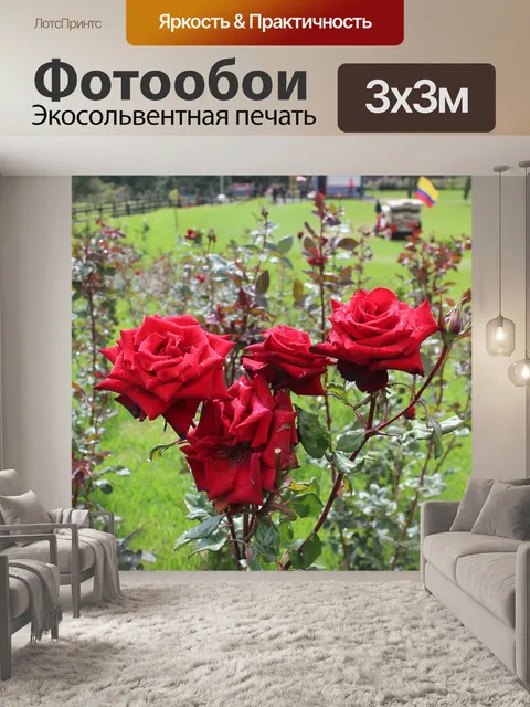Фотообои Розы