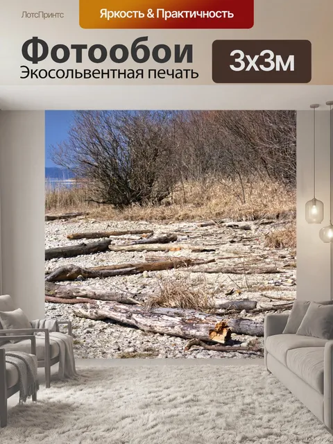 Фотообои Мрачный