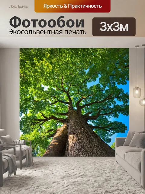 Фотообои дерево с широкими, раскидистыми ветвями, зелеными листьями и густой кроной, на фоне голубого неба и яркого…