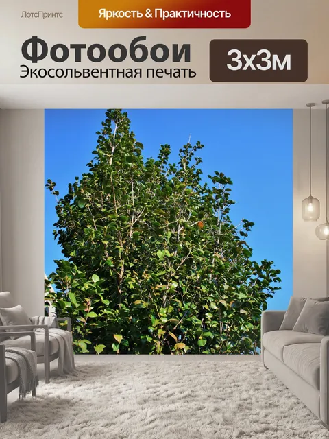 Фотообои японская дерево