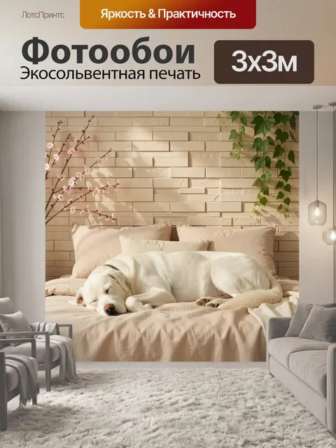 Фотообои Спящий белый пес на кровати