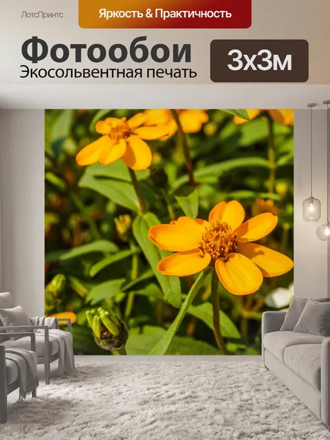 Фотообои Цветочные изображения фона