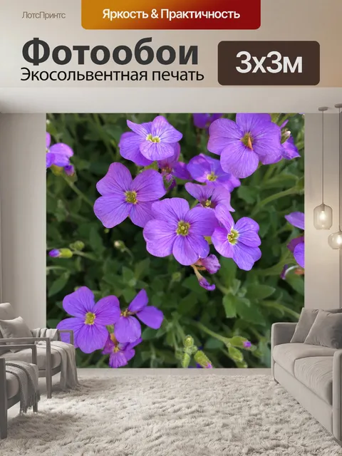 Фотообои Цветок