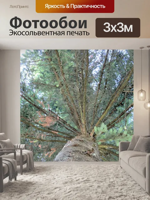 Фотообои в виде дерева