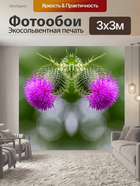 Фотообои Фон, чертополох