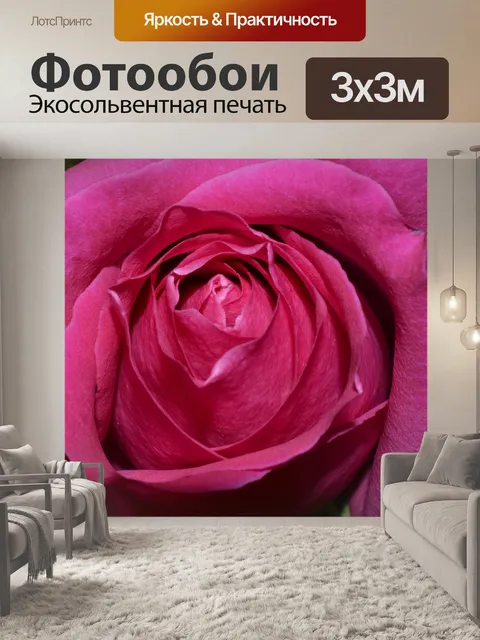 Фотообои Одноместный Розовые розы