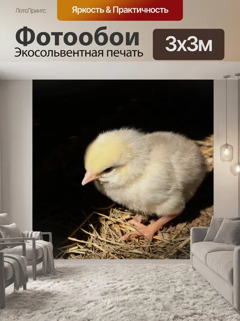 Фотообои Детский цыпленок в соломе крупным планом