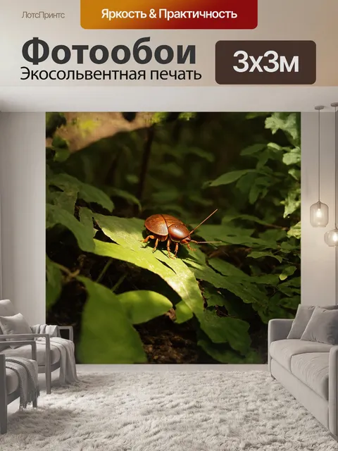 Фотообои в тени джунглей: мадагаскарский таракан медленно ползет по листве