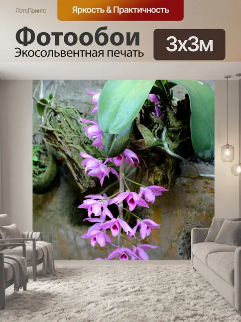 Фотообои Фиолетовые Орхидеи