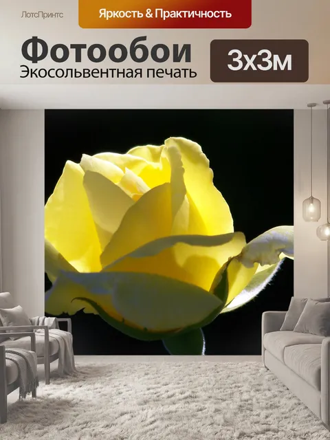 Фотообои Желтая роза