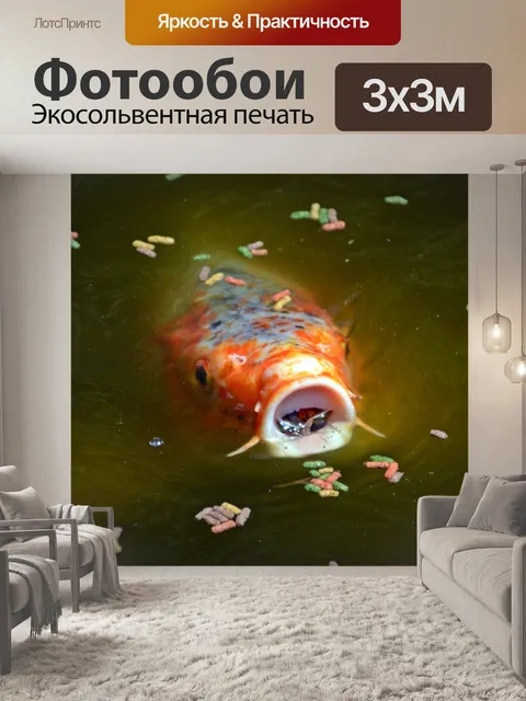 Фотообои Koi