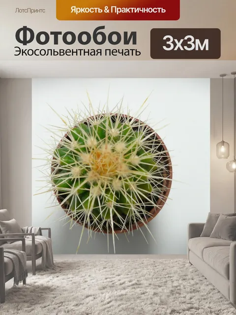 Фотообои Золотой шар кактус