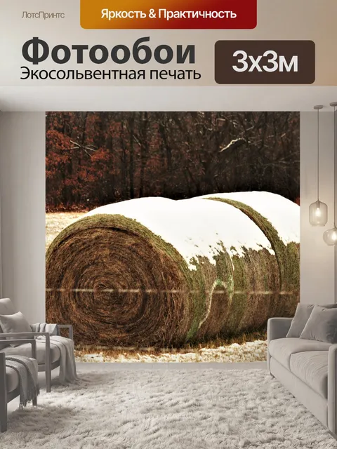 Фотообои Круглые сиськи в снегу