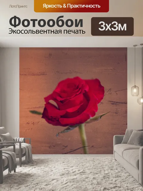 Фотообои Роза