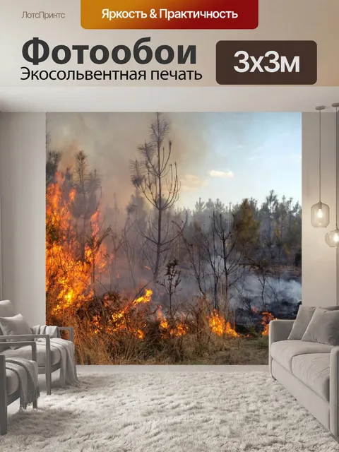 Фотообои Лес