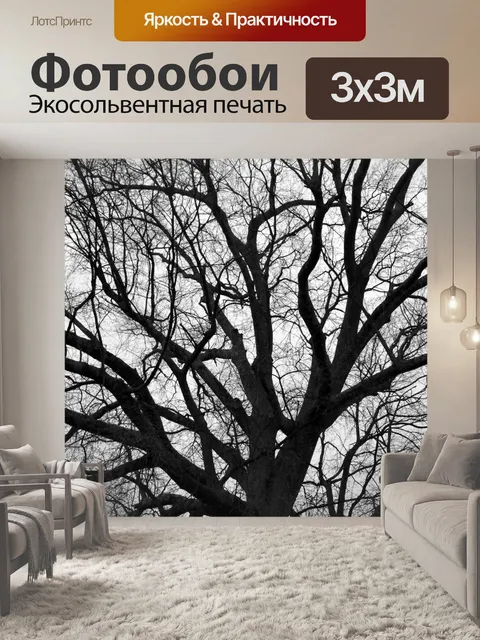 Фотообои Бесплодное дерево в зимнее время