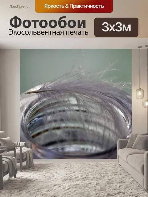 Фотообои белое перо при открытии банки