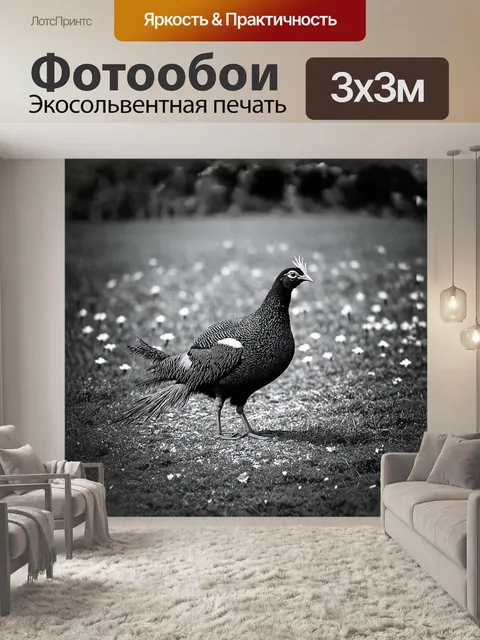 Фотообои гваделупа является домом для великолепных цесарок, которые исследуют зелени окрестных полей