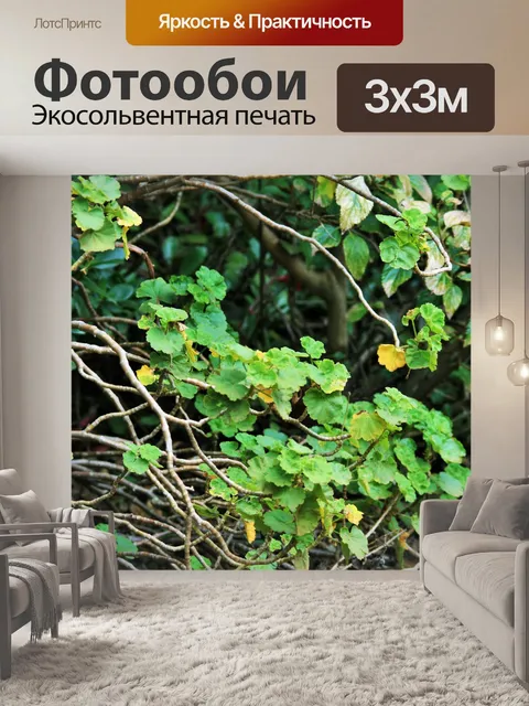 Фотообои герань с желтыми листьями
