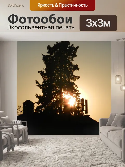 Фотообои Против света