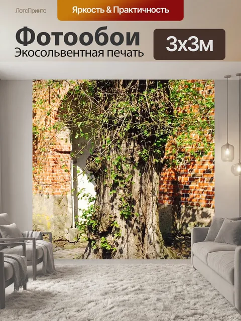 Фотообои Старое дерево