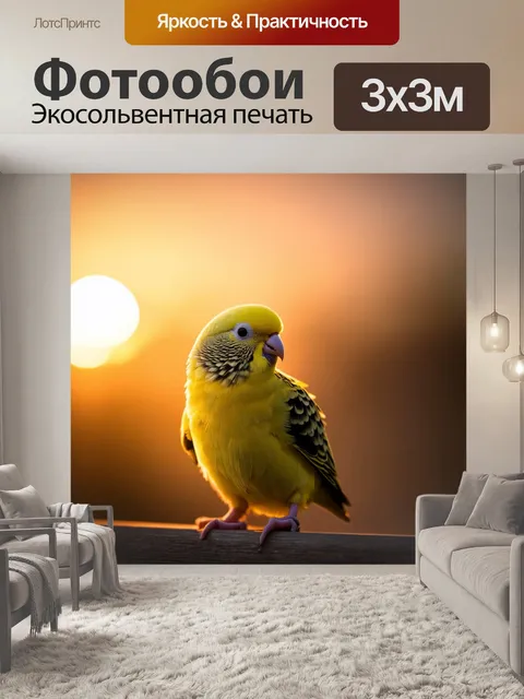 Фотообои крупный план карликового попугайчика на фоне ласкового заката, где лучи солнца создают игру теней и света