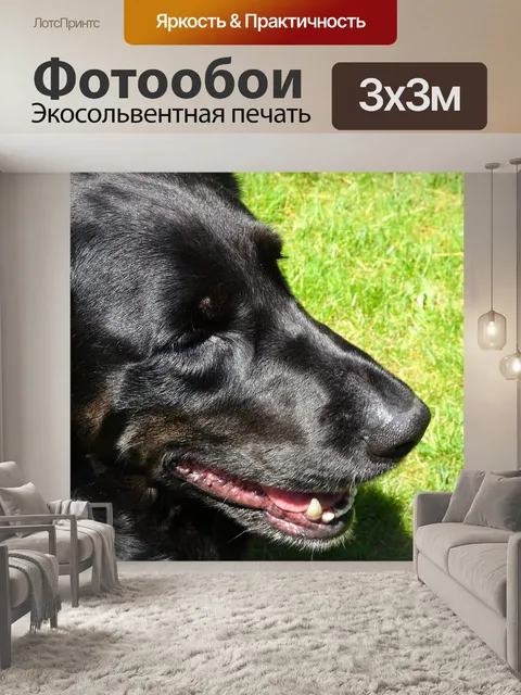 Фотообои Тяжелая собака