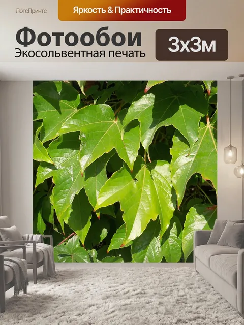Фотообои Плющ