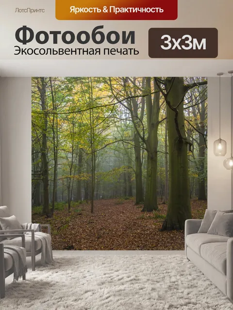 Фотообои Туманный лес