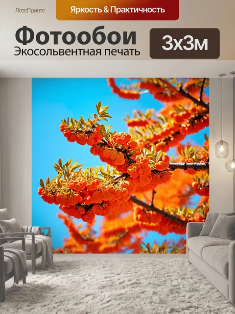 Фотообои оранжевый цвет, оранжевые гроздья рябины на фоне голубого неба, выполненные в технике акварельной живописи