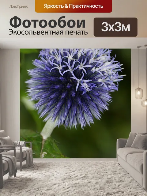 Фотообои Природа