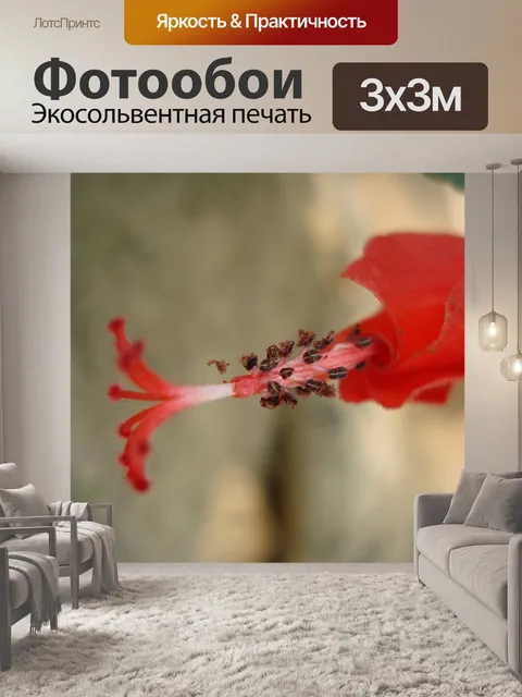 Фотообои Гибискус роза