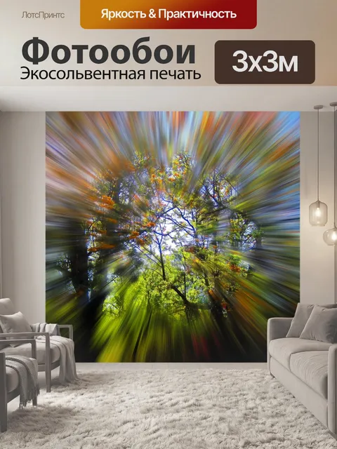 Фотообои лес открытие зум