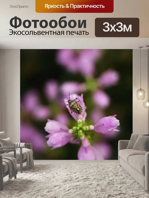 Фотообои Закрыть