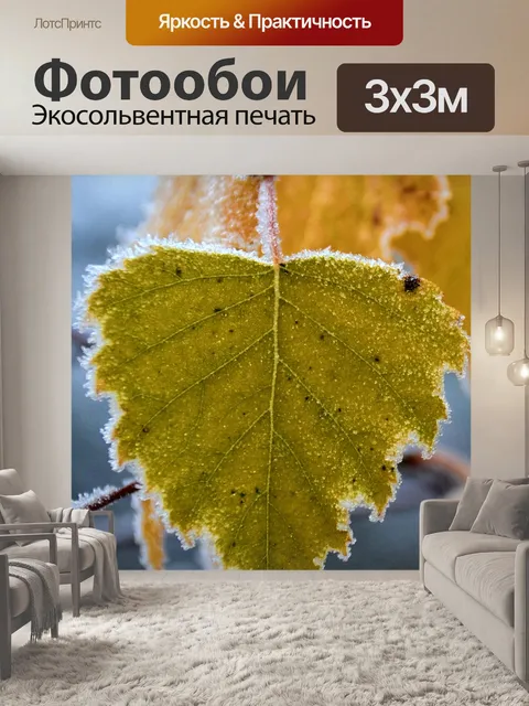 Фотообои Мороз