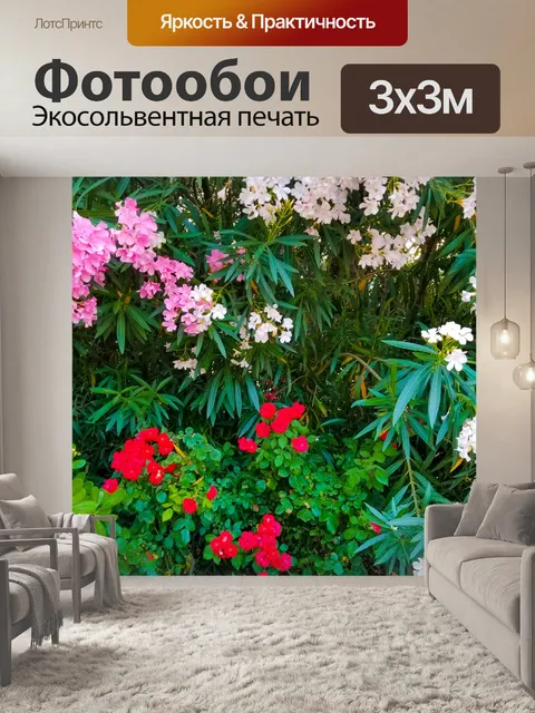 Фотообои Цветы олеандра