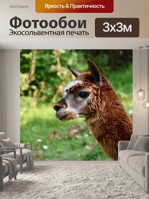 Фотообои Альпака