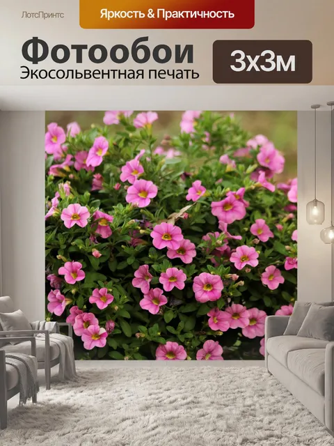 Фотообои Розовые цветы петунии крупным планом