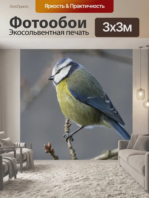 Фотообои Весенняя синяя синица