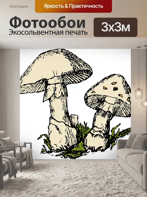 Фотообои Грибы