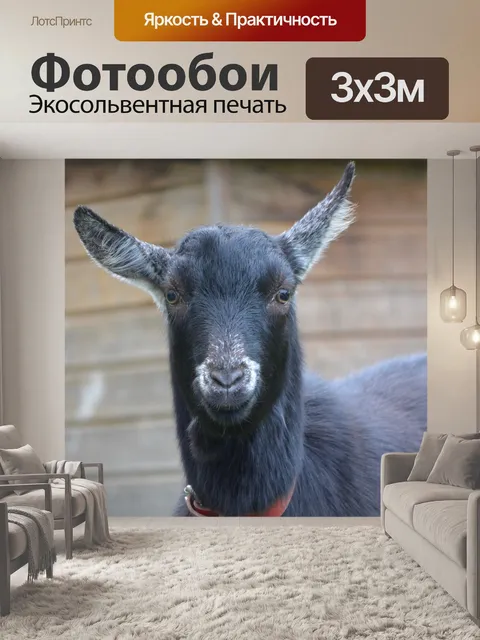 Фотообои Козел