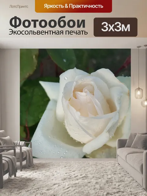 Фотообои Роза