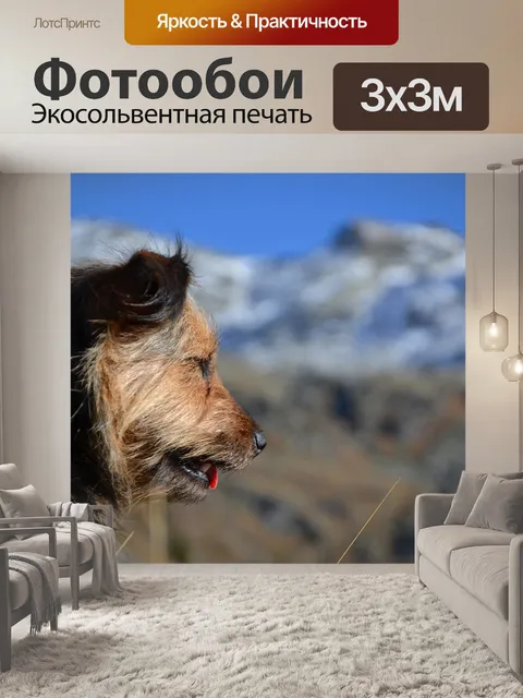 Фотообои Собака