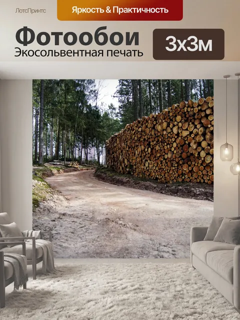 Фотообои Дорожка