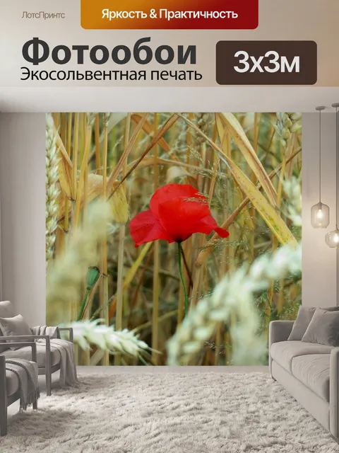 Фотообои Мак
