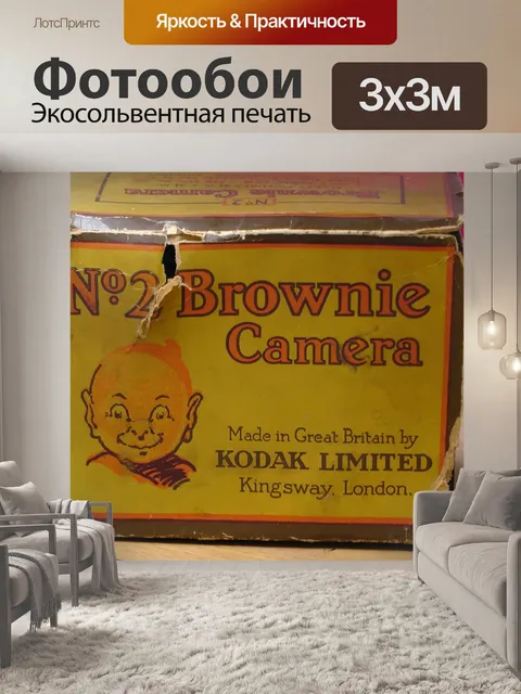 Фотообои Kodak № 2 Домовой камеры