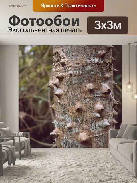 Фотообои Ствол