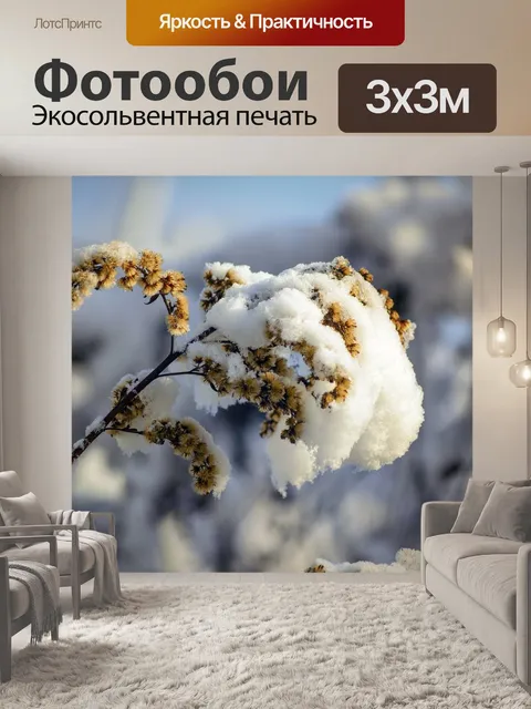 Фотообои Зима