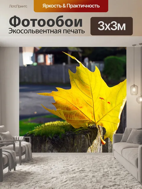 Фотообои Просто лист