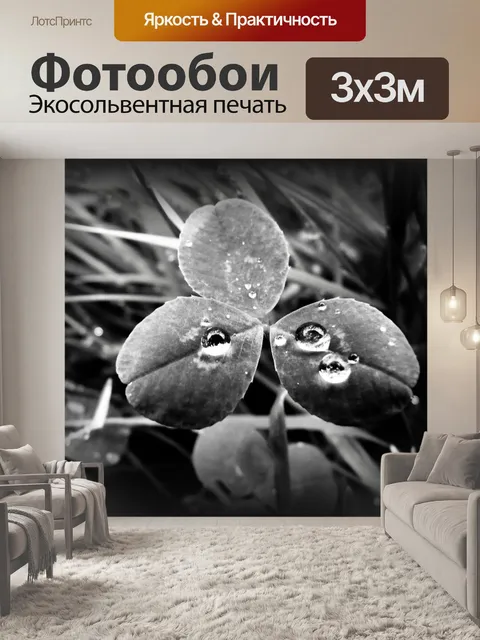 Фотообои Капельки на клевера
